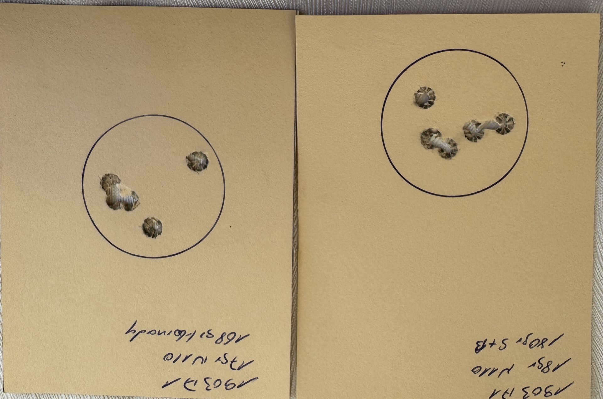 Remington 1903/A1 Repetierbüchse im Kaliber .30-06 Springfield – Bild 22
